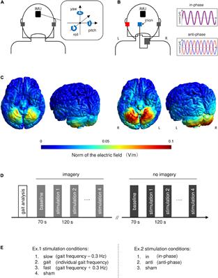 Phase-dependent modulation of the vestibular–cerebellar network via combined alternating current stimulation influences human locomotion and posture